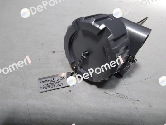 TS-RTD-CTL Termics
