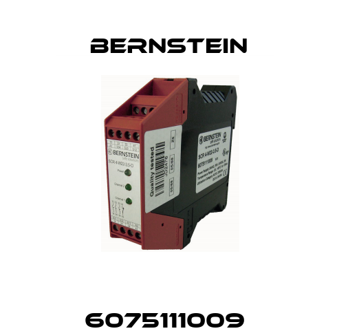 6075111009  Bernstein