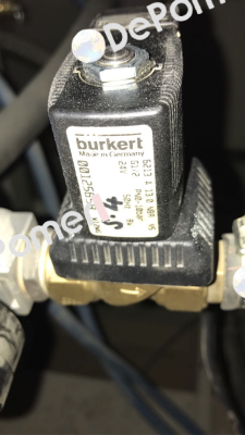 00125658 Burkert