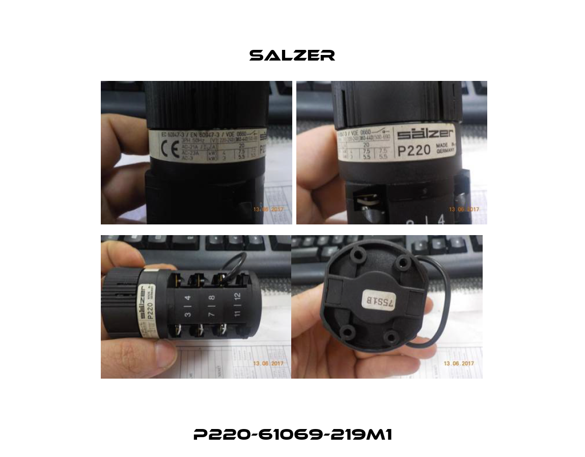 P220-61069-219M1 Salzer