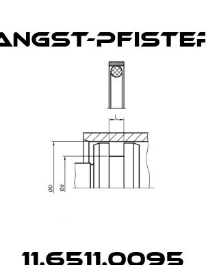 11.6511.0095 Angst-Pfister
