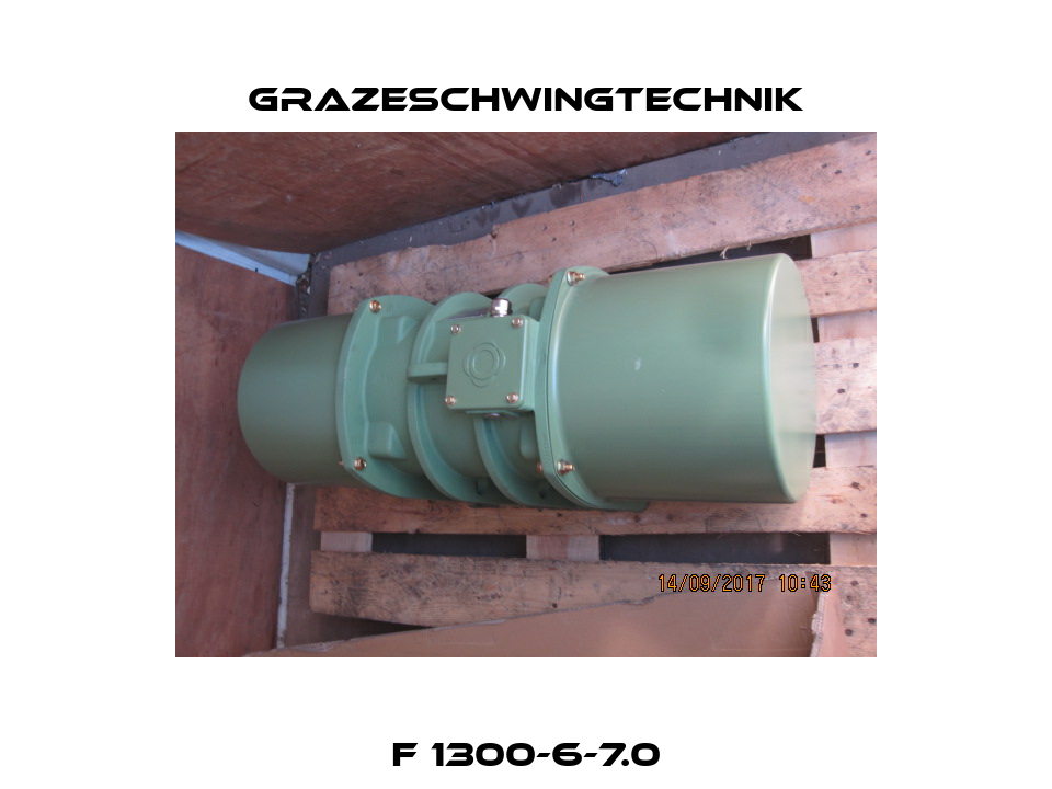F 1300-6-7.0 GrazeSchwingtechnik