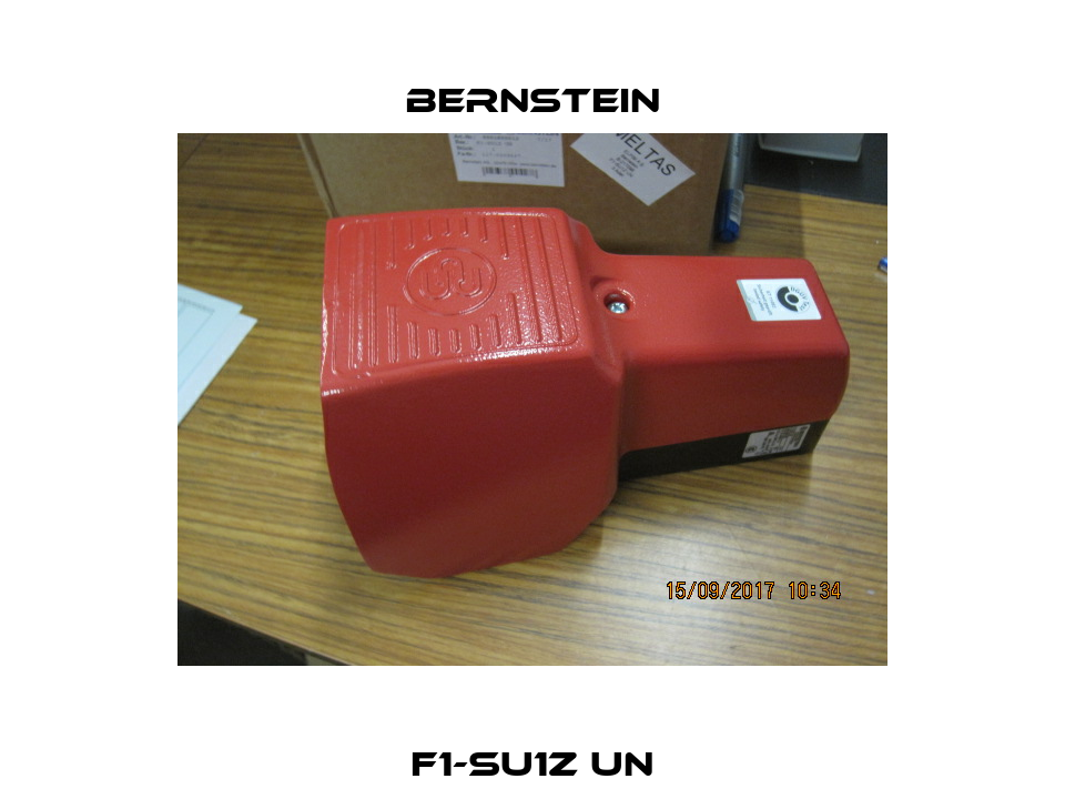 F1-SU1Z UN Bernstein