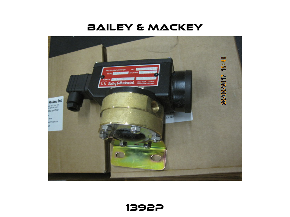 1392P Bailey & Mackey