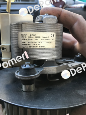 WFFB1202-015 - Part of: DSF133-42  Torin-Sifan