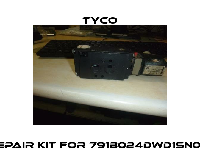 Repair kit for 791B024DWD1SN00  TYCO