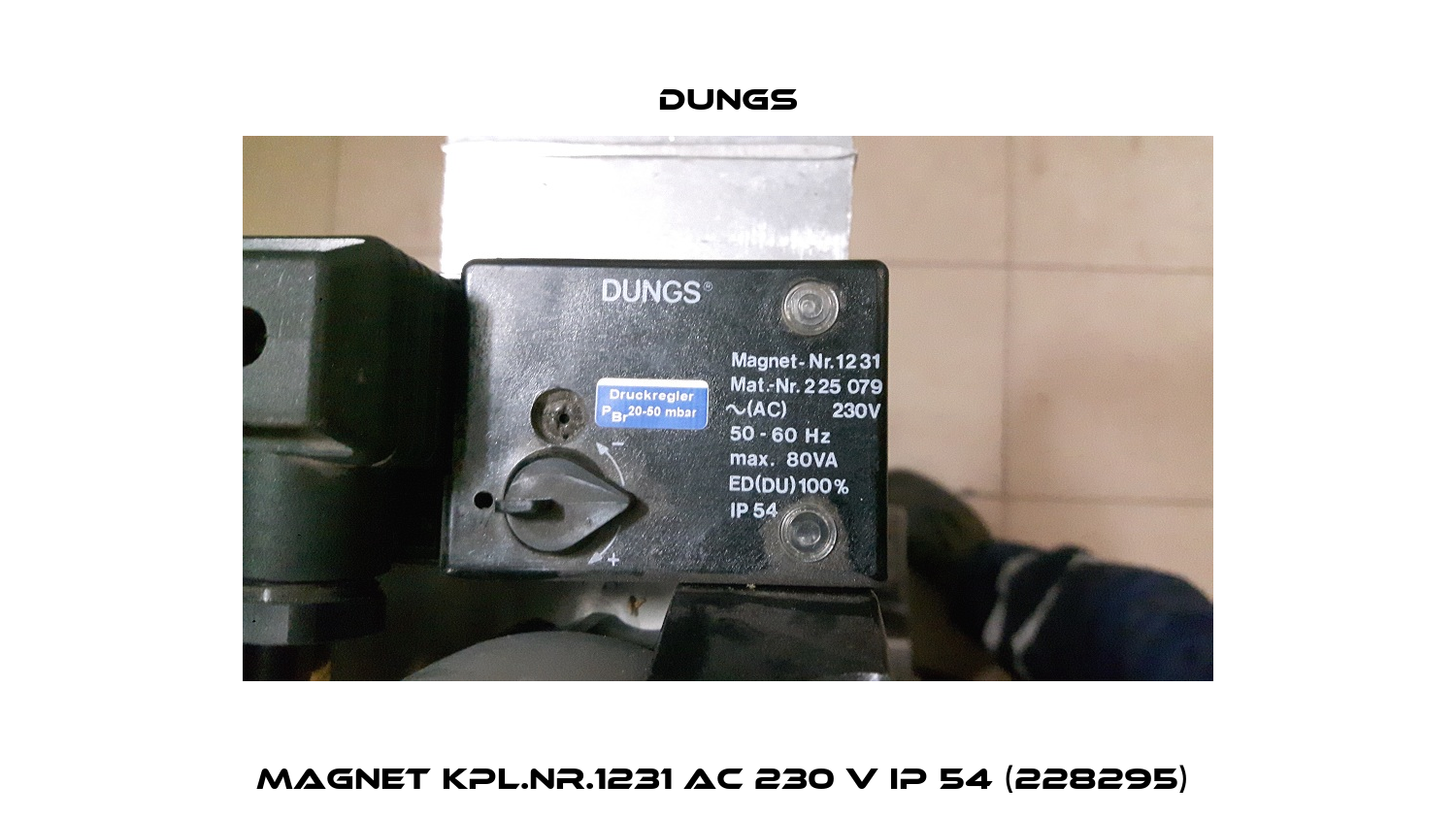 Magnet kpl.Nr.1231 AC 230 V IP 54 (228295)  Dungs