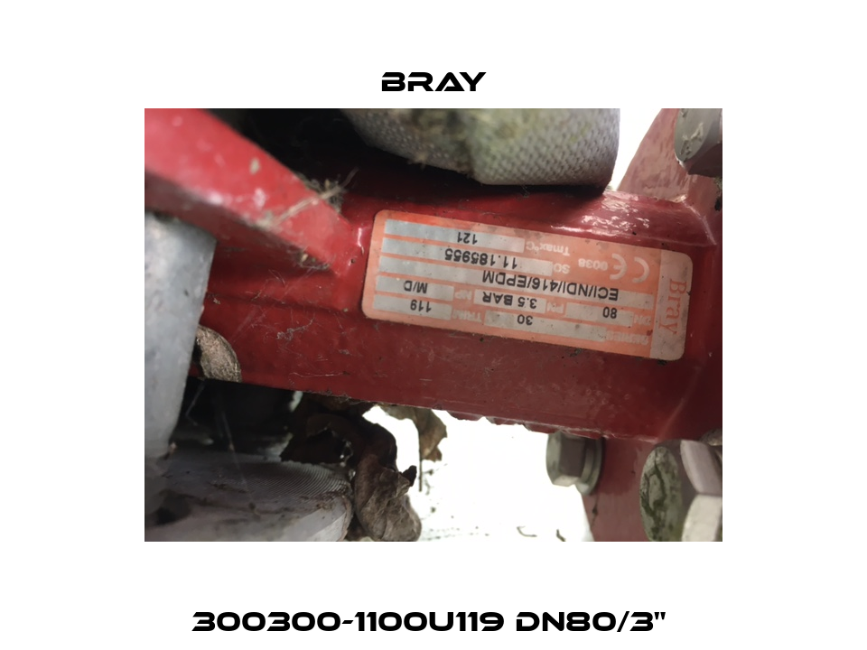 300300-1100U119 DN80/3"  Bray