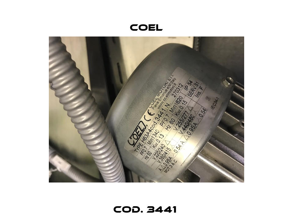 cod. 3441  Coel
