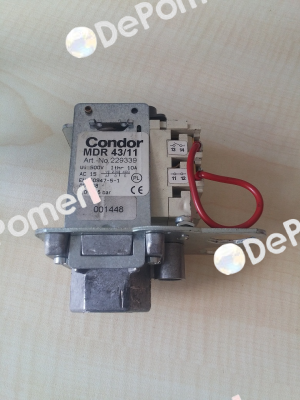 229339 Condor