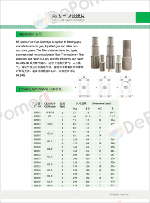 G2.0 Filtering Element Fiorentini