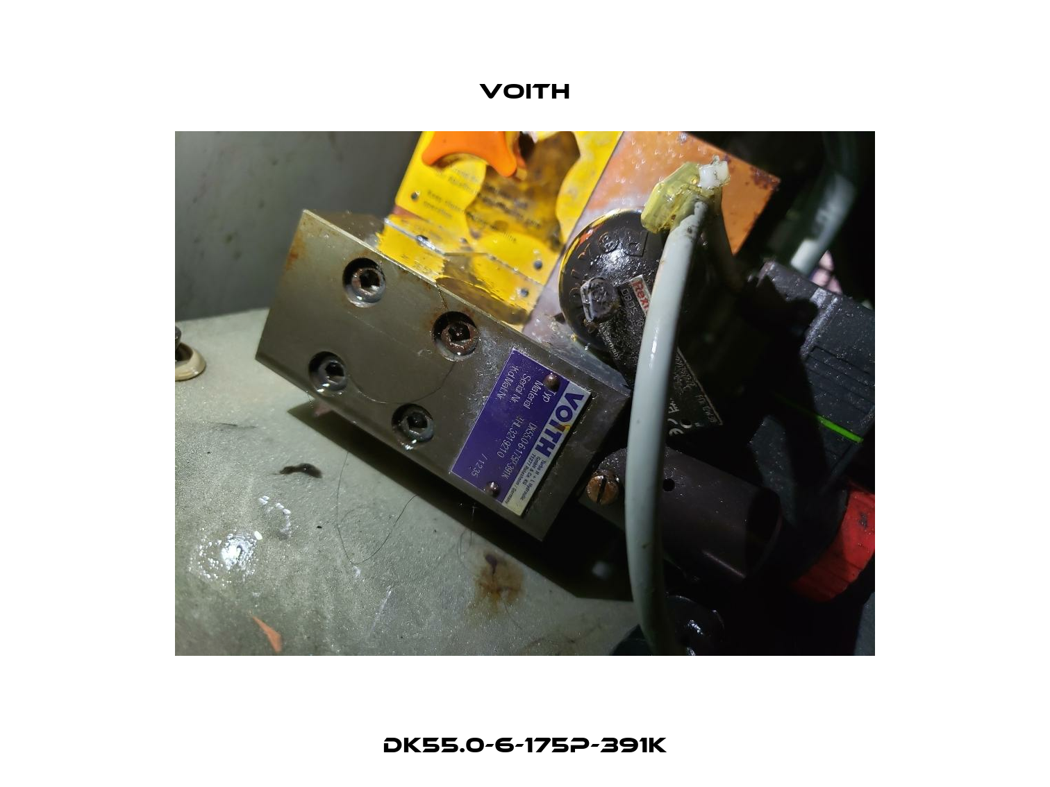 DK55.0-6-175P-391K Voith