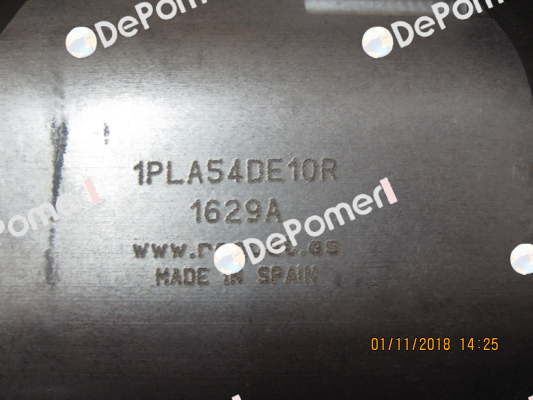 1PLA54DE10R P1BRN3036L10 Roquet pump