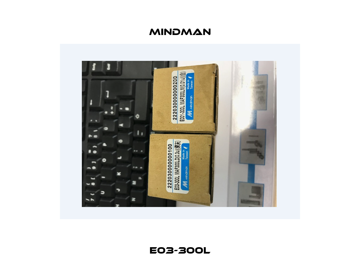 E03-300L Mindman