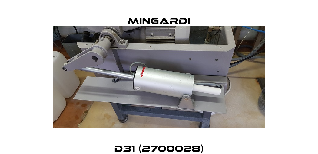 D31 (2700028) Mingardi