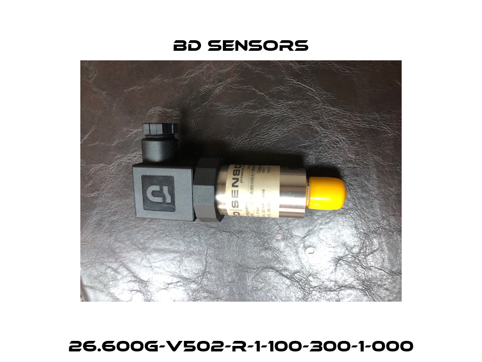 26.600G-V502-R-1-100-300-1-000 Bd Sensors
