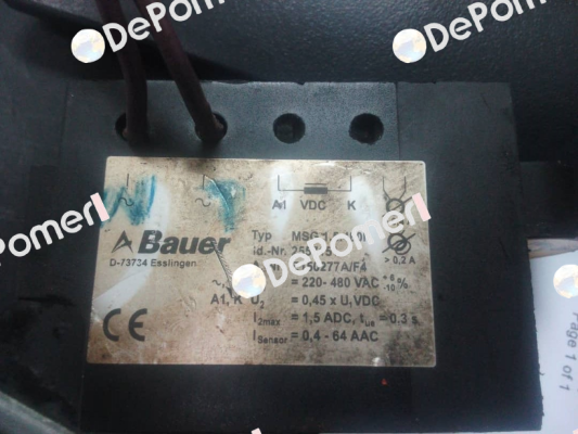 30404564 Bauer