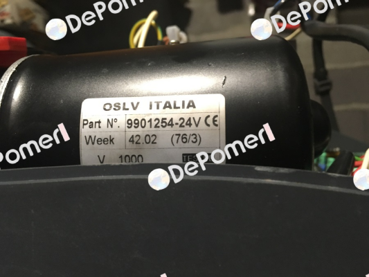 119RIE131 OSLV Italia