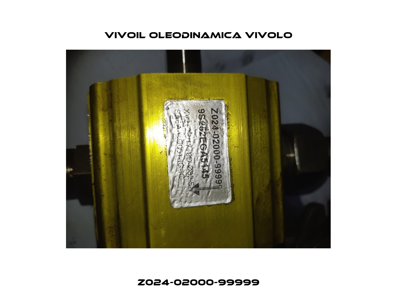 Z024-02000-99999 Vivoil Oleodinamica Vivolo