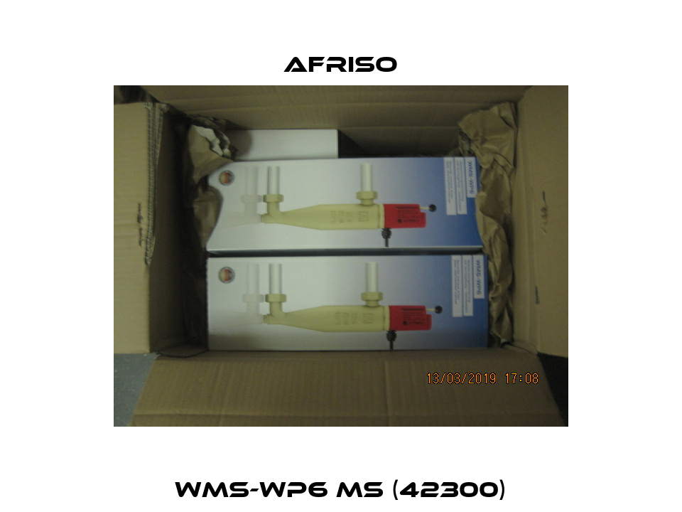 WMS-WP6 MS (42300) Afriso
