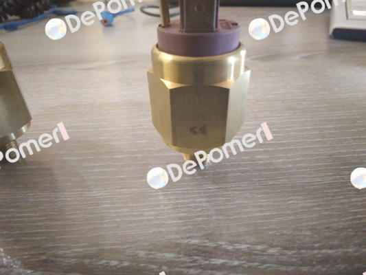 РНММ - G1/8 - 10/20bar NA- 220V - 3111163 HNBR. Euroswitch