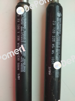 G10-23ST-35727 Hahn Gasfedern