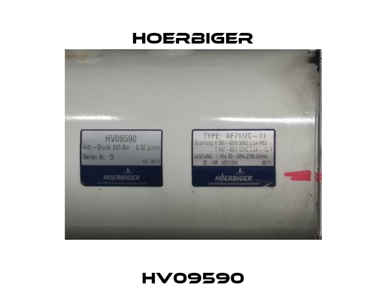 HV09590 Hoerbiger