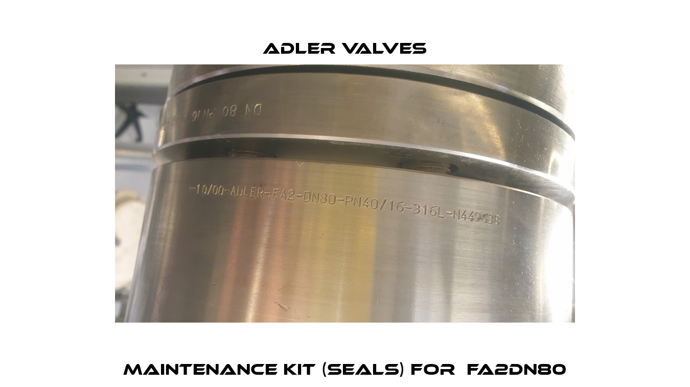 maintenance kit (seals) for  FA2DN80 Adler Valves