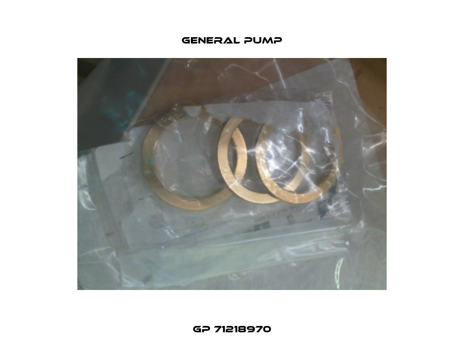 GP 71218970 General Pump