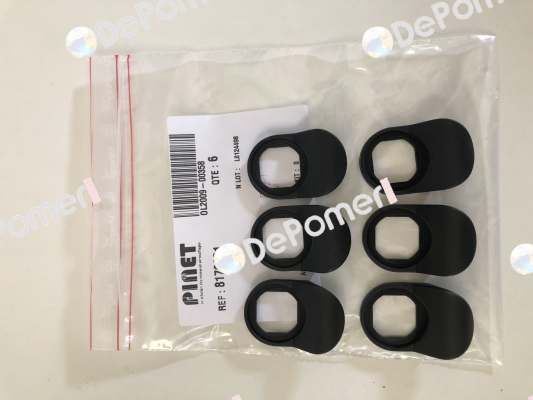 8179021 Pinet