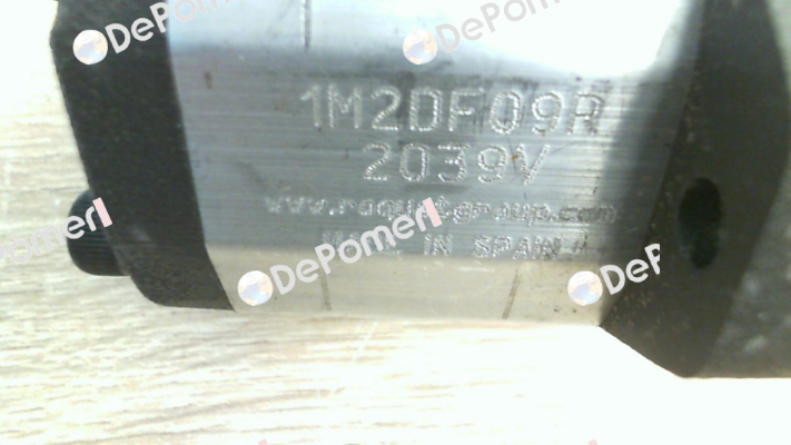 1M-2DF09R Roquet pump