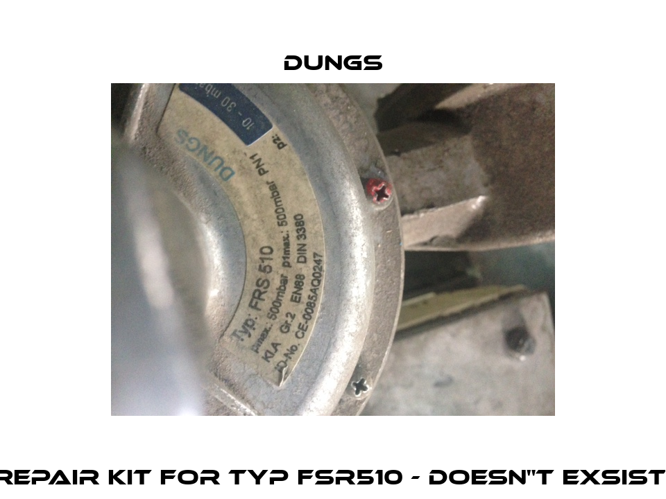Repair Kit for Typ FSR510 - doesn"t exsist  Dungs