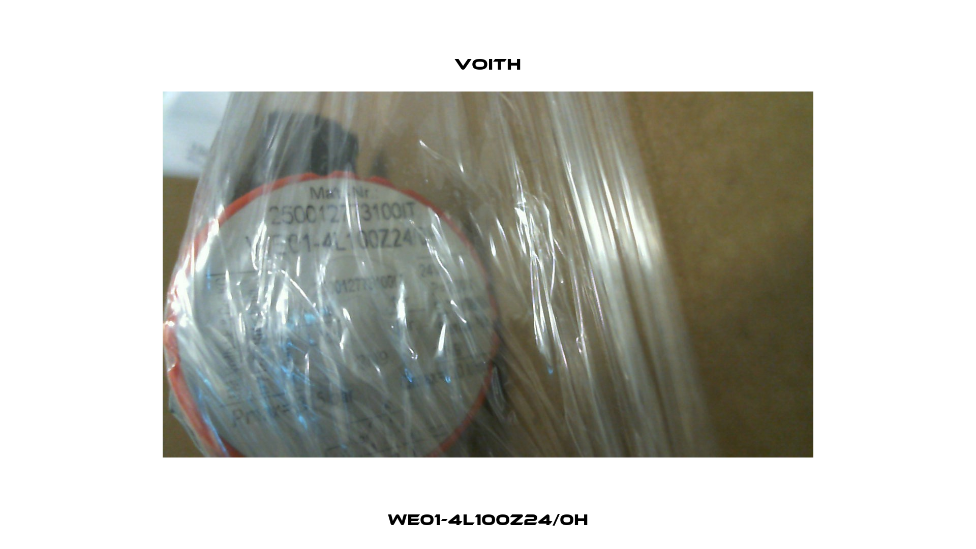 WE01-4L100Z24/0H Voith