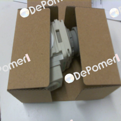 R1000-8G-W-NT Ckd