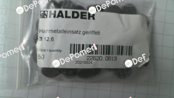 22620.0613 Halder