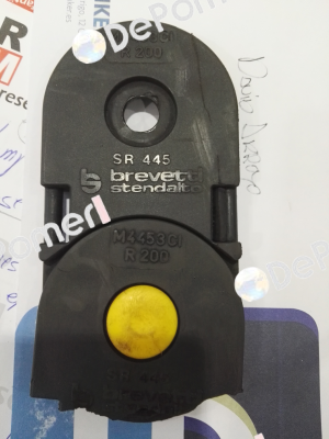 445MU125200 Brevetti