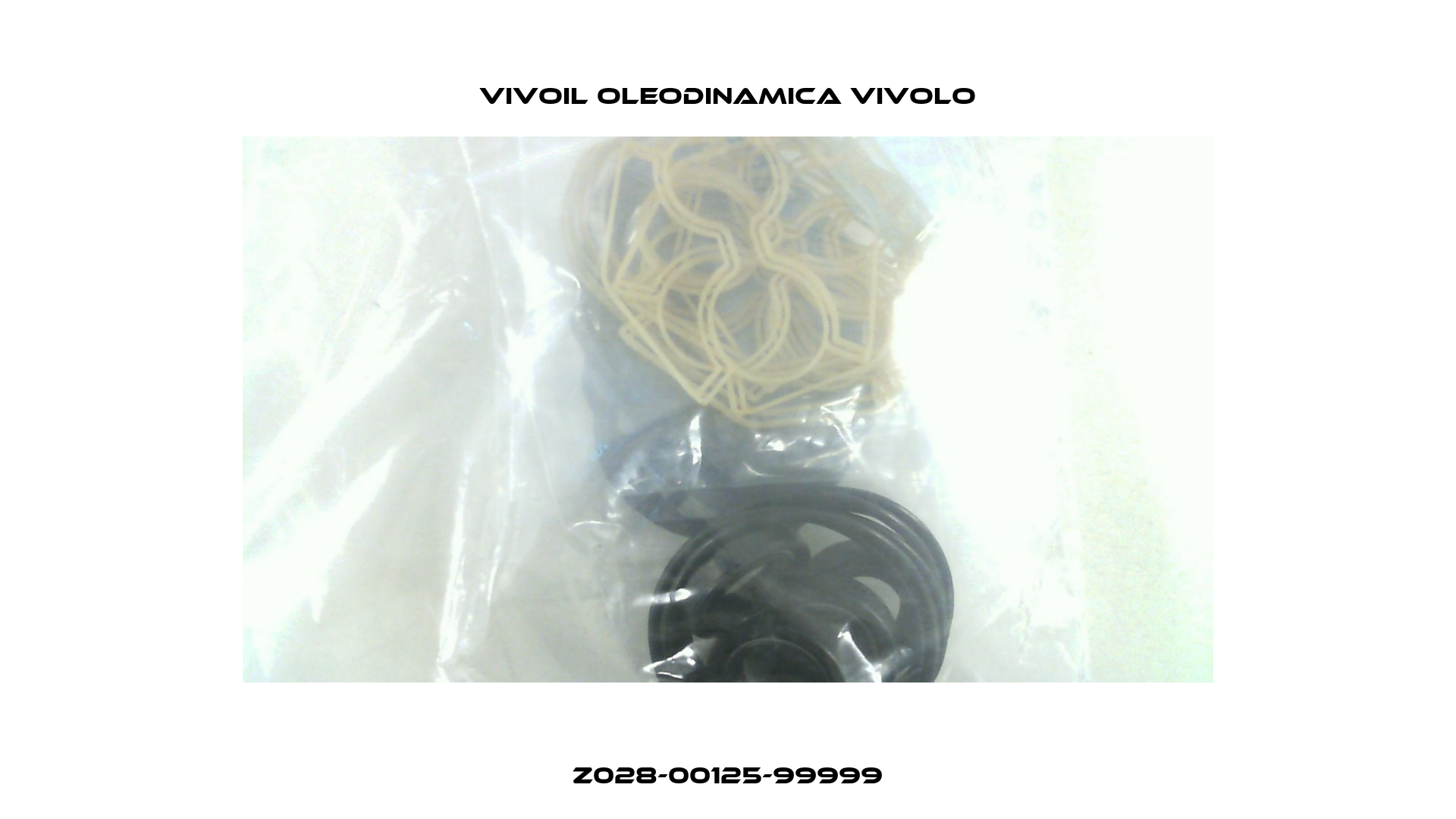 Z028-00125-99999 Vivoil Oleodinamica Vivolo