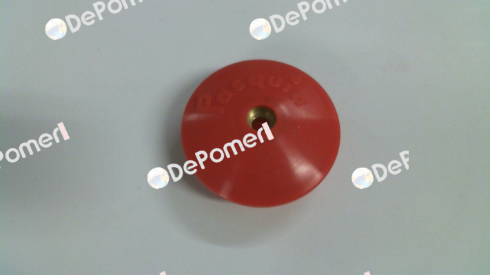 P3363-RB Pasquin