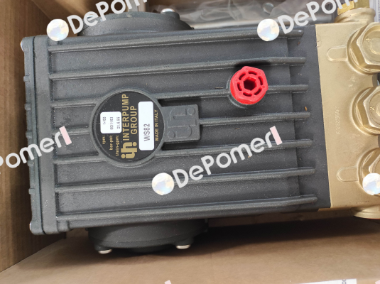 M42001017 Type WS 82 Interpump