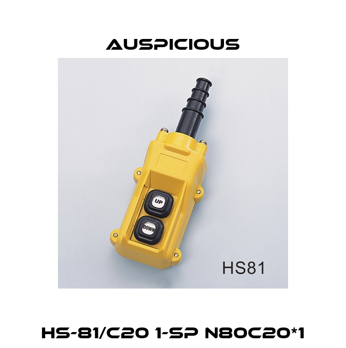 HS-81/C20 1-SP N80C20*1 Auspicious