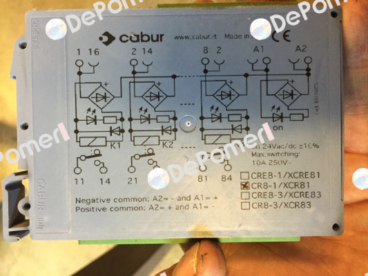 XCR81  Cabur