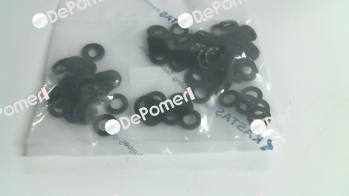 10021914  / K54 20X13X2,5 Kastas Sealing