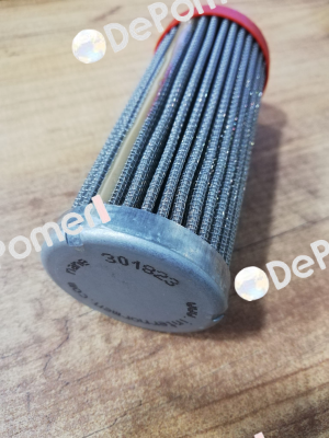 01.E60.25G.30.E.P / PN 301823 Internormen