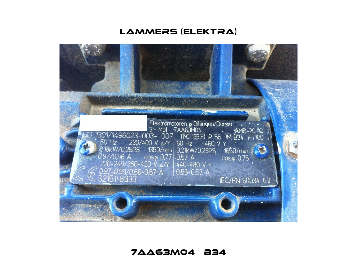 7AA63M04   B34 Lammers (Elektra)