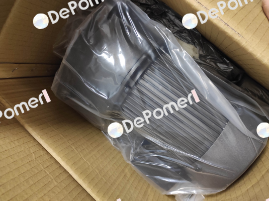 G13V400S-100 Sesame Motor