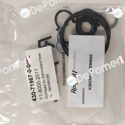 KB0300LBSNN00 Roquet pump
