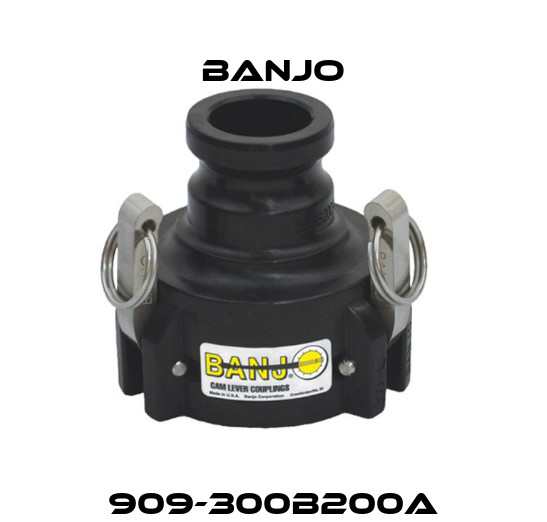 909-300B200A Banjo
