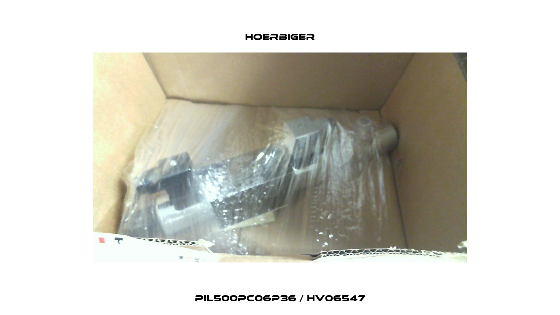 PIL500PC06P36 / HV06547 Hoerbiger