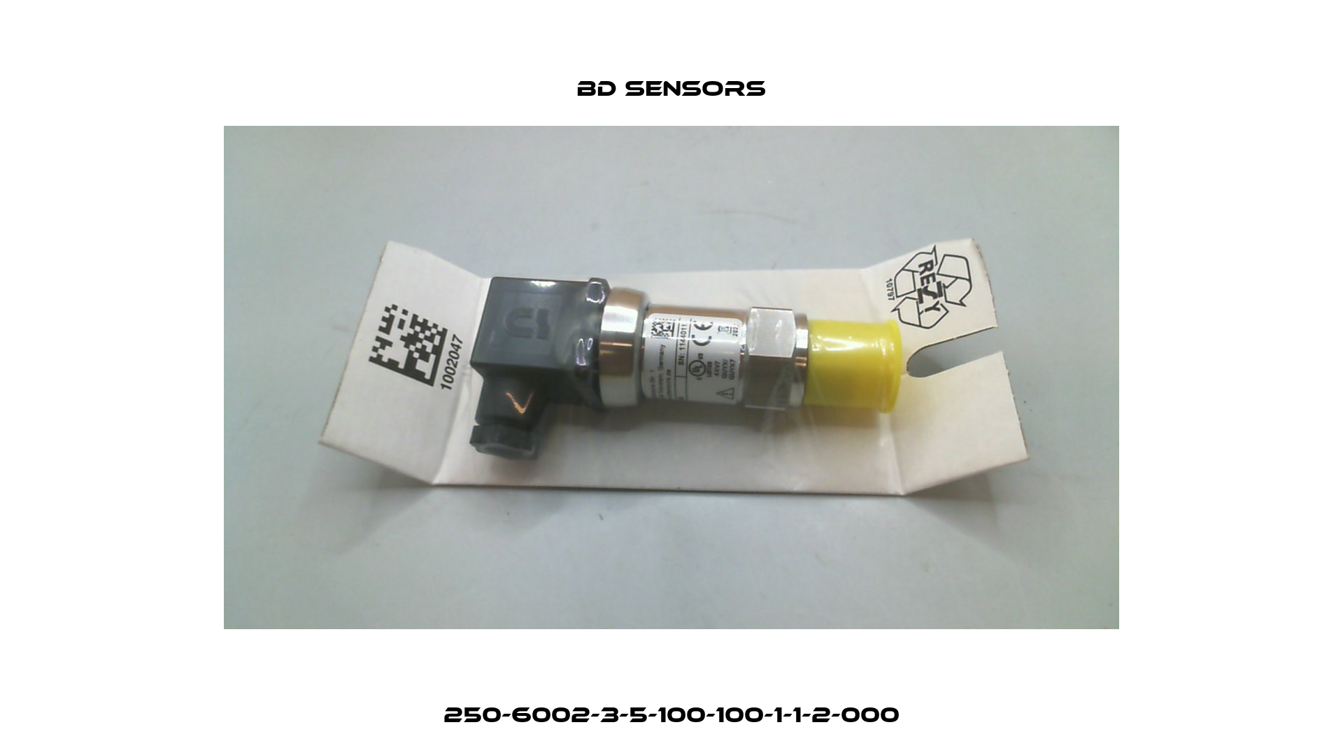 250-6002-3-5-100-100-1-1-2-000 Bd Sensors
