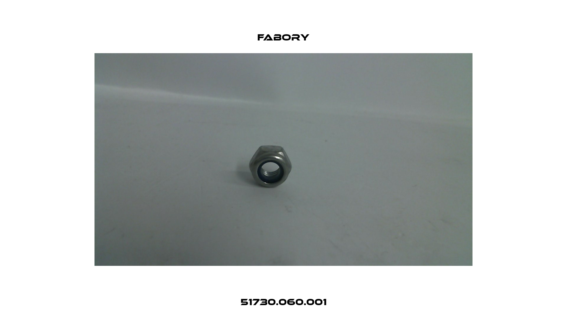 51730.060.001 Fabory